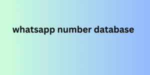 whatsapp number database